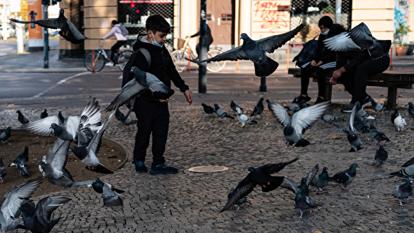 Boy feeds doves