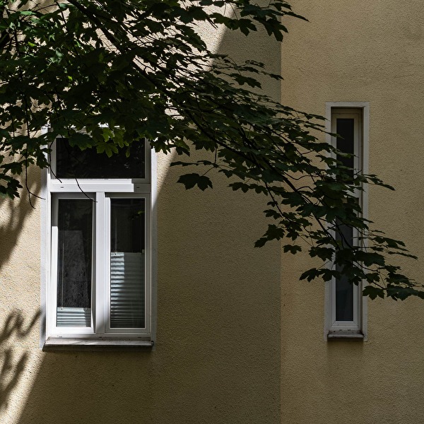Windows
